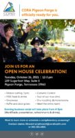 600px grand open email Pigeon Forge (002).jpg